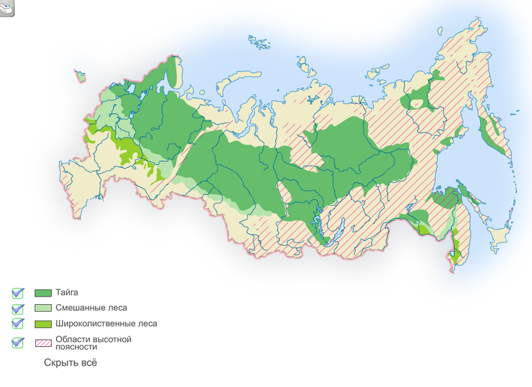 Зоны лесов россии на карте