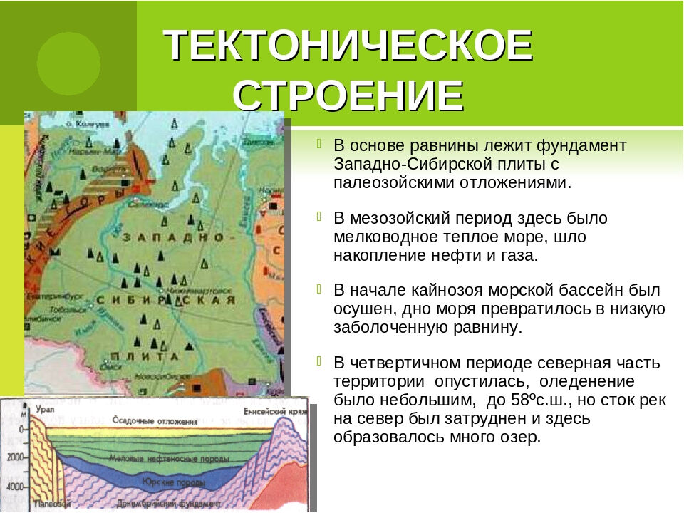 Карта природных зон западно сибирской равнины